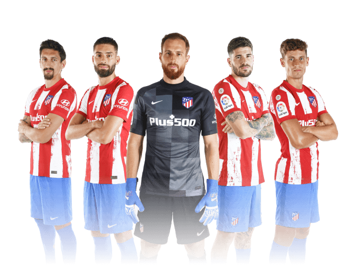 开云app官方入口网页版