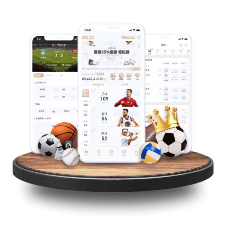 开云app官方入口网页版